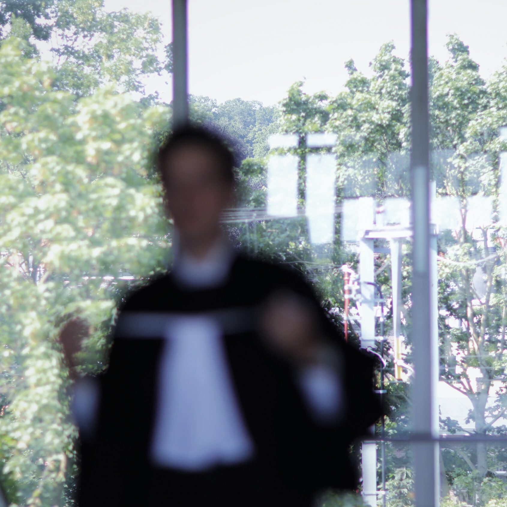 advocaat in toga - advocaat aansprakelijkheid letselschade verzekeringsrecht