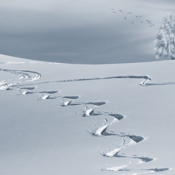 besneeuwde heuvel met twee ski sporen