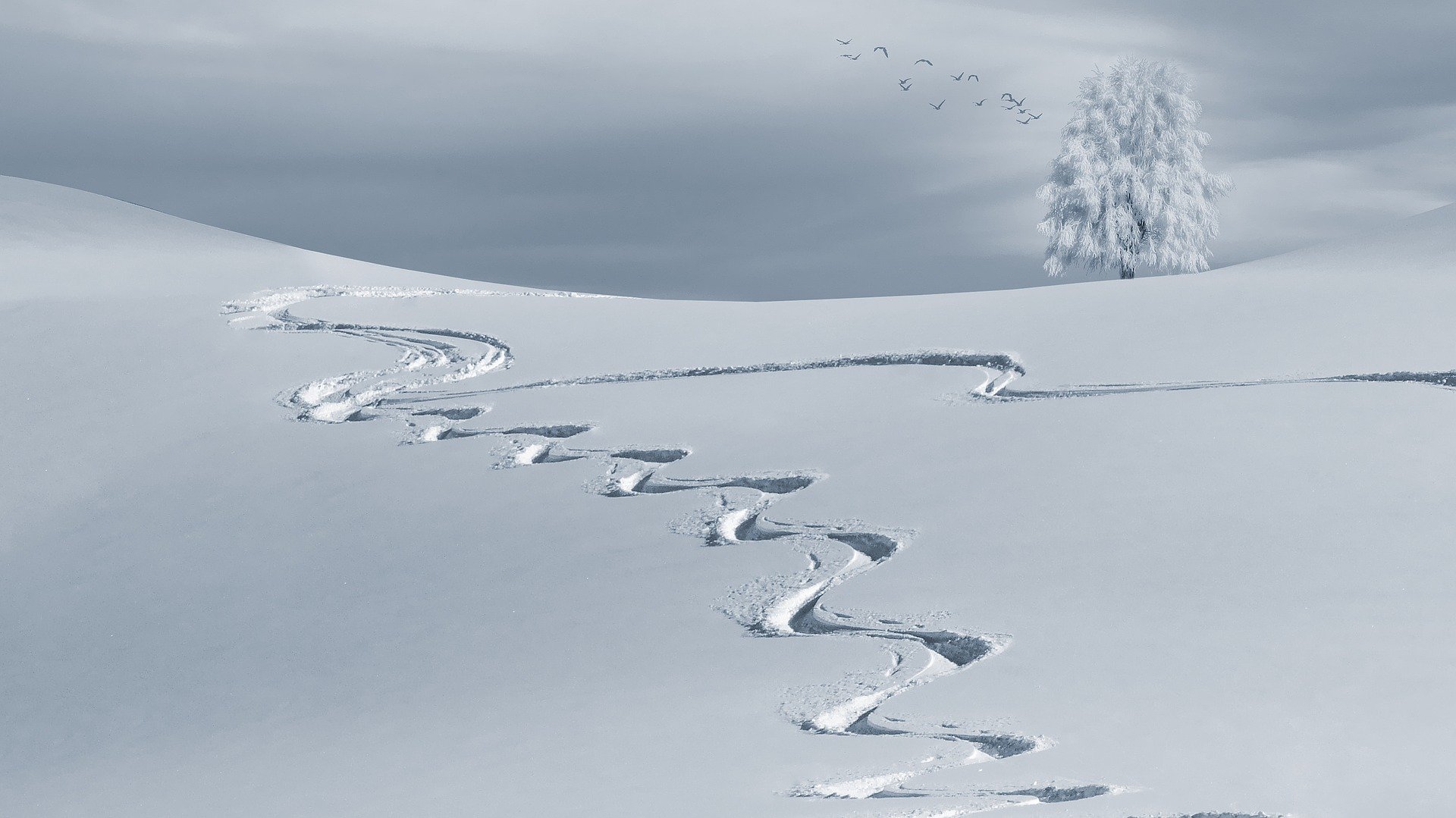 besneeuwde heuvel met twee ski sporen